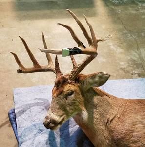 Meet your Posher, Chuck